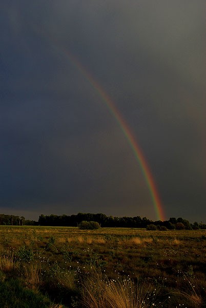 Regenbogen