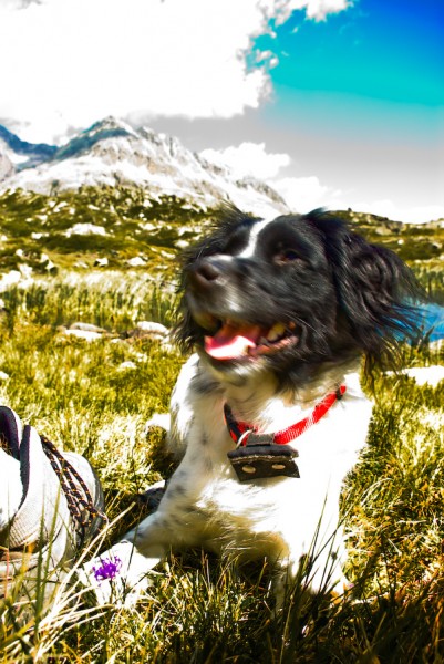 Ein "echter" Schnappschuss