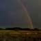Regenbogen